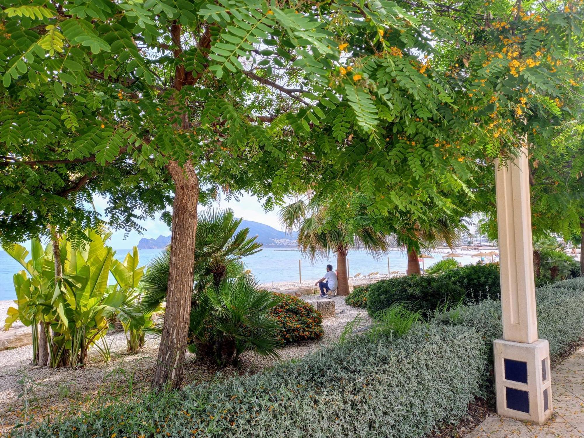 Townhouse Los Olivos M 阿尔啼 外观 照片